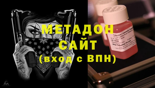 прущие грибы Куйбышев