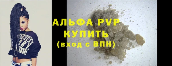 прущие грибы Куйбышев