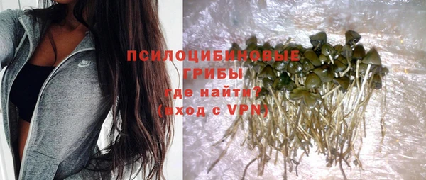 прущие грибы Куйбышев