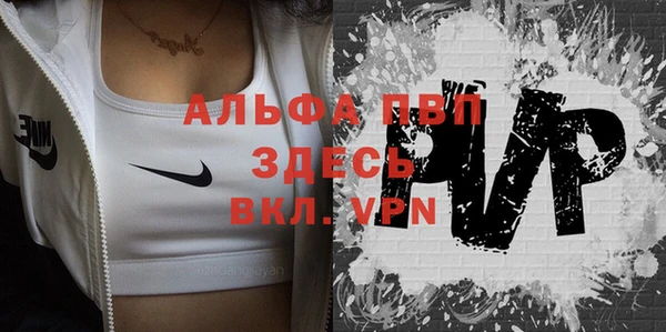 прущие грибы Куйбышев