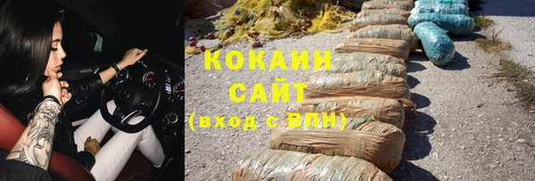 прущие грибы Куйбышев