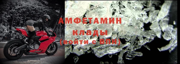 прущие грибы Куйбышев