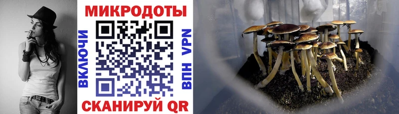Купить где  Апрелевка  Галлюциногенные грибы Psilocybe 